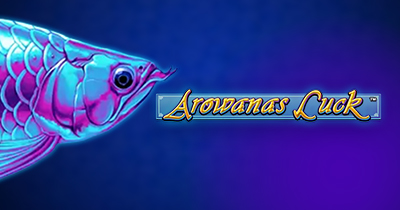 Arowanas Luck