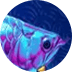 Arowanas Luck