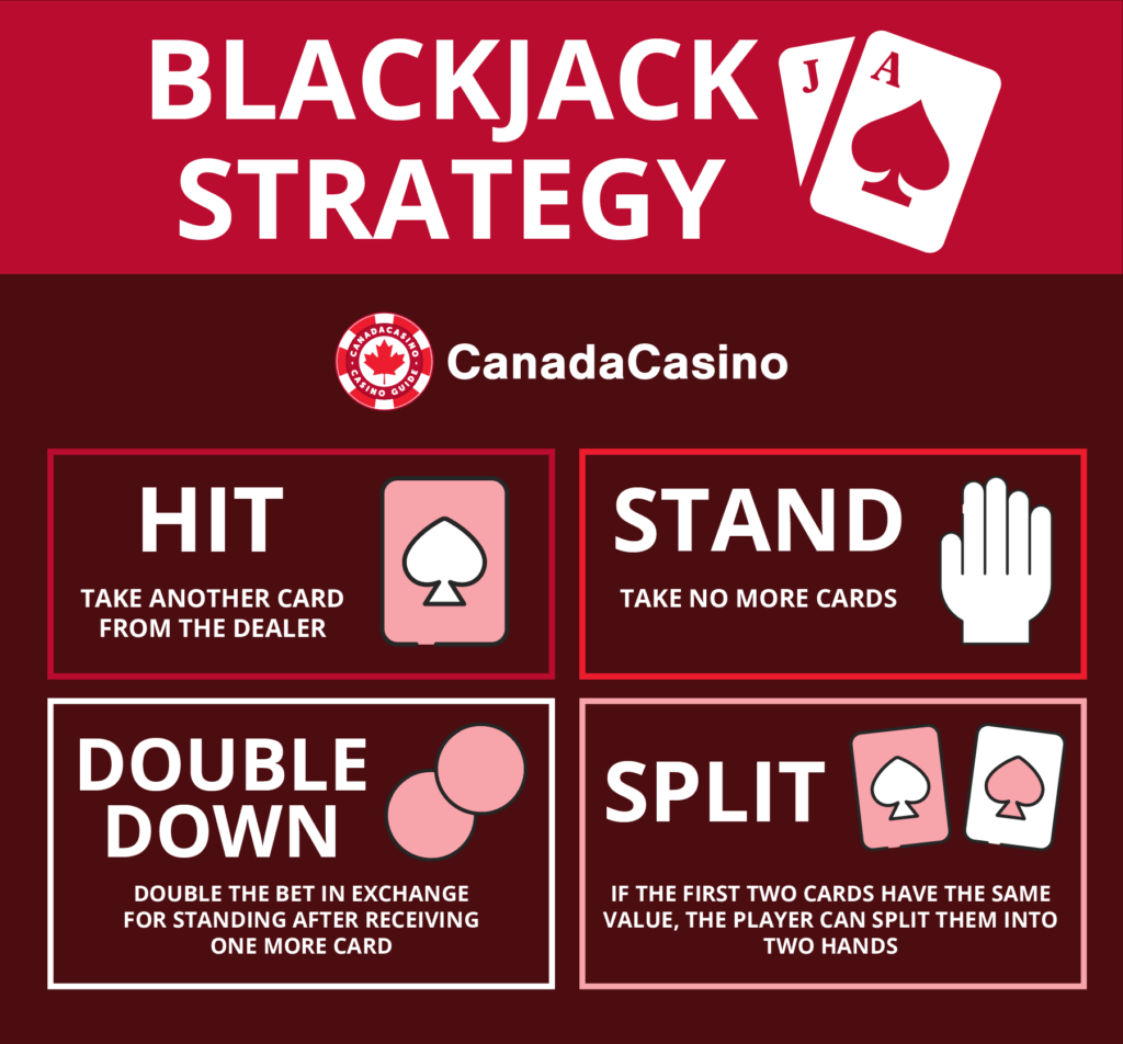 Familiarize yourself with every rule, probability, bet type, and reward before putting a plan into action!