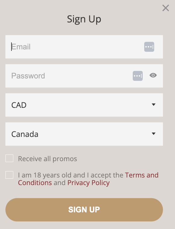 A step-by-step guide to registering and starting your journey at Boho Casino.