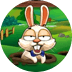 Bonus Bunnies