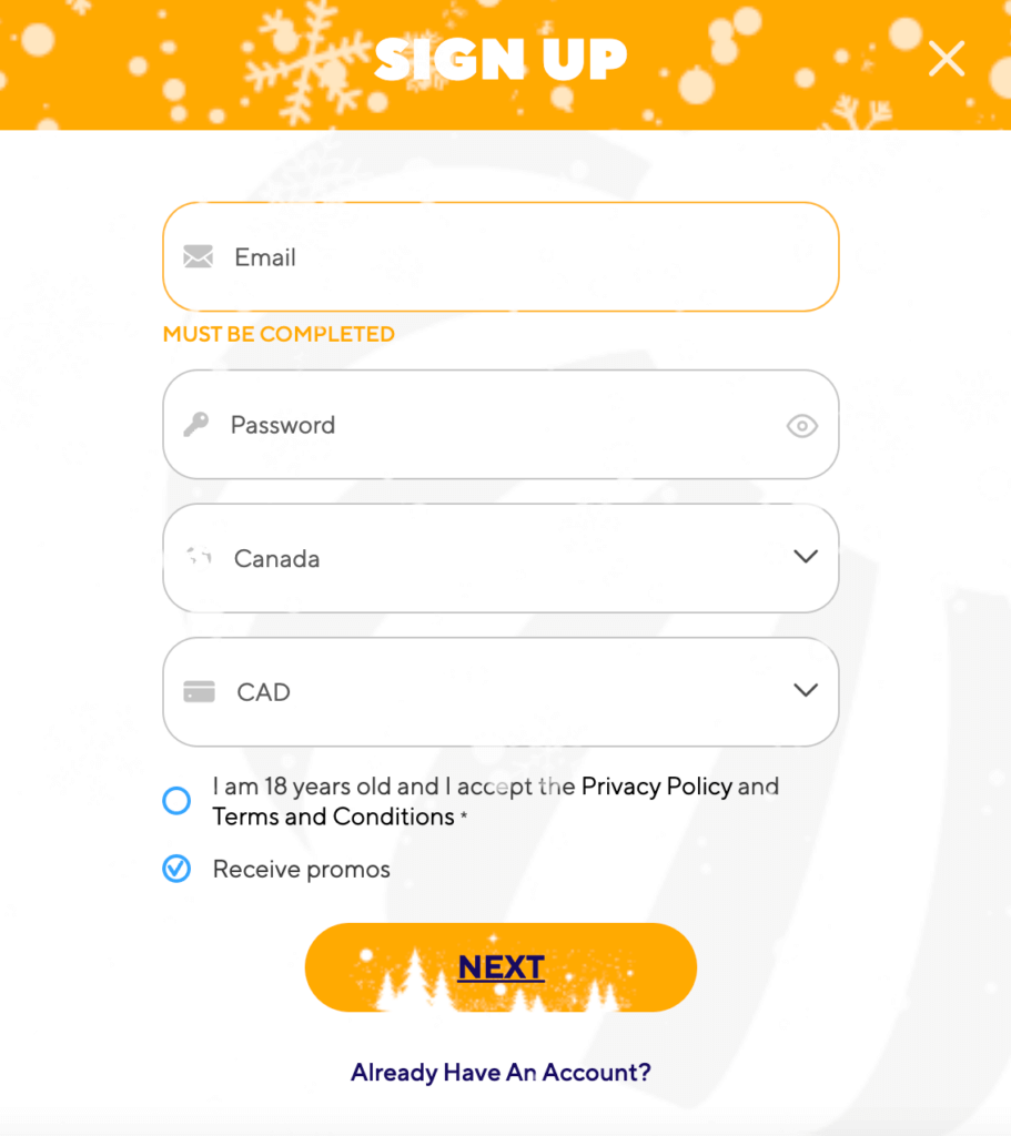 This section is also where your password is selected.