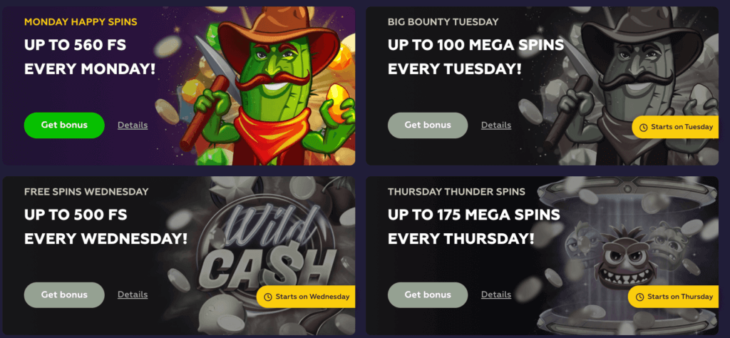 Routine Free Spins at Playfina: A Canadian Casino Treat