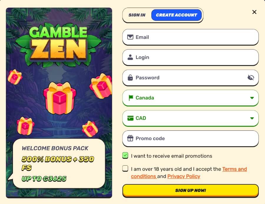 Input your email, create a username and password, specify your country, and choose your currency.