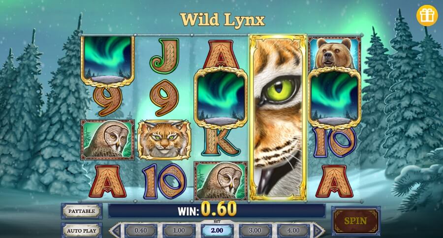 wild north wilderness online slot - canada day casino fun
